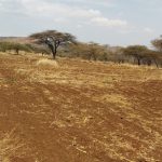 24 Acres, Meru–Isiolo Highway