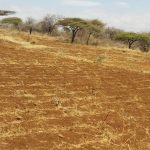 24 Acres, Meru–Isiolo Highway