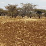 24 Acres, Meru–Isiolo Highway