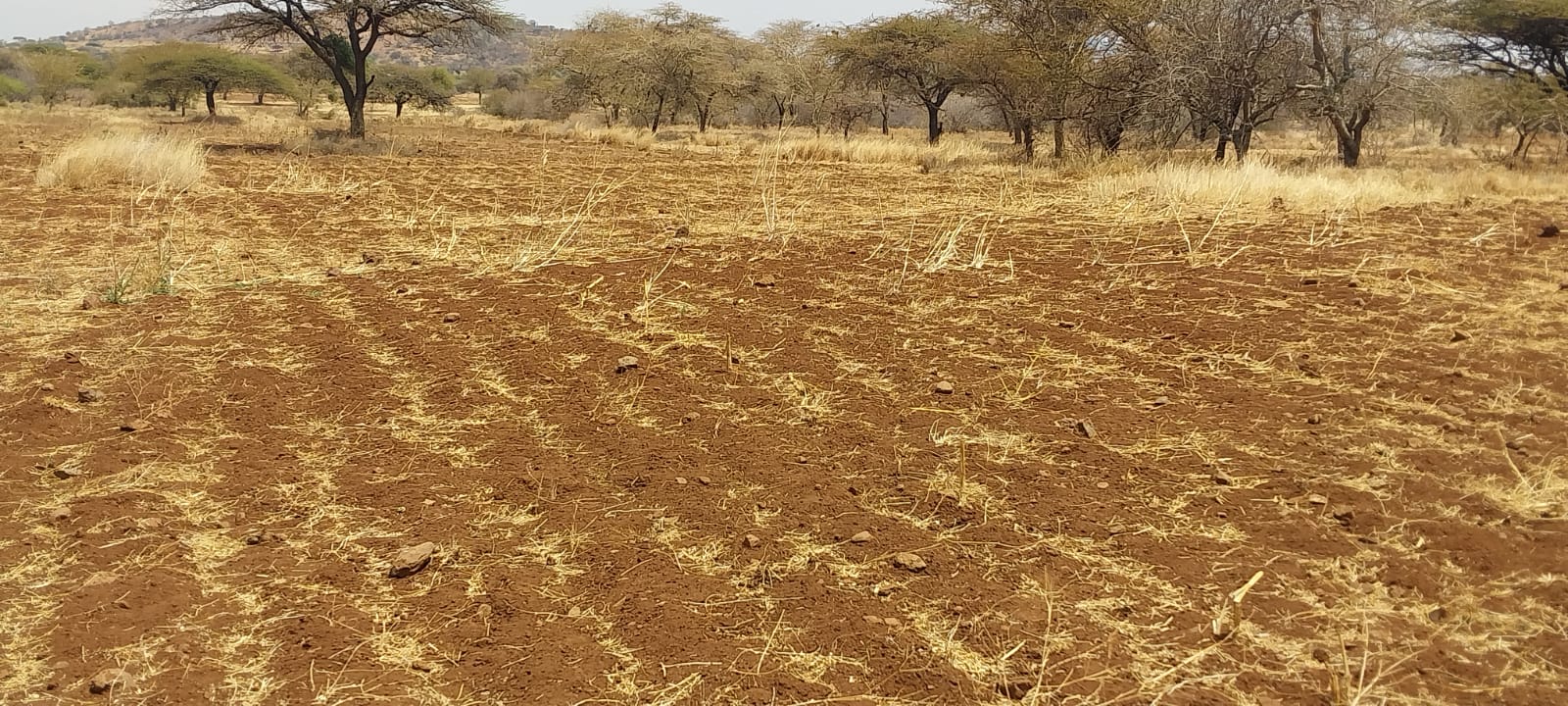 24 Acres, Meru–Isiolo Highway
