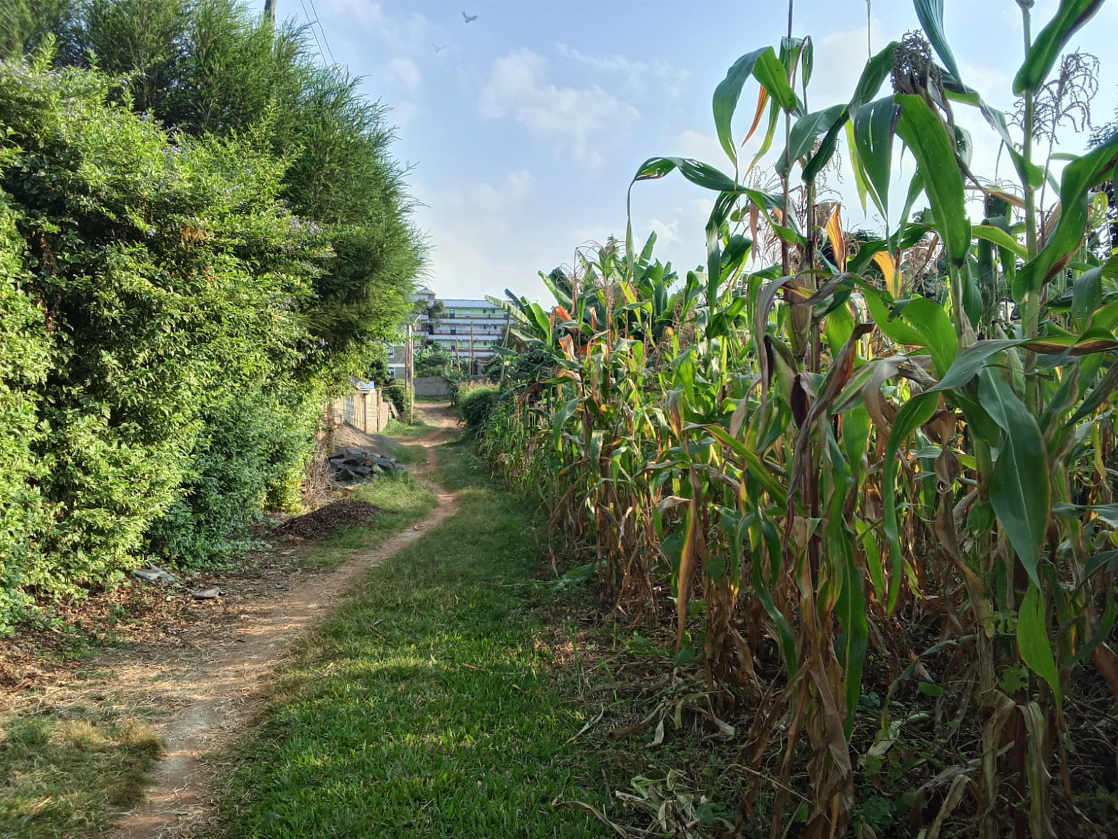½ Acre, Ruaka / Northern Bypass